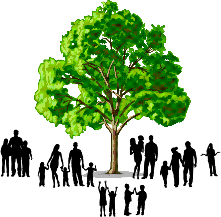 Семейное дерево изображения с корнями искусства PNG