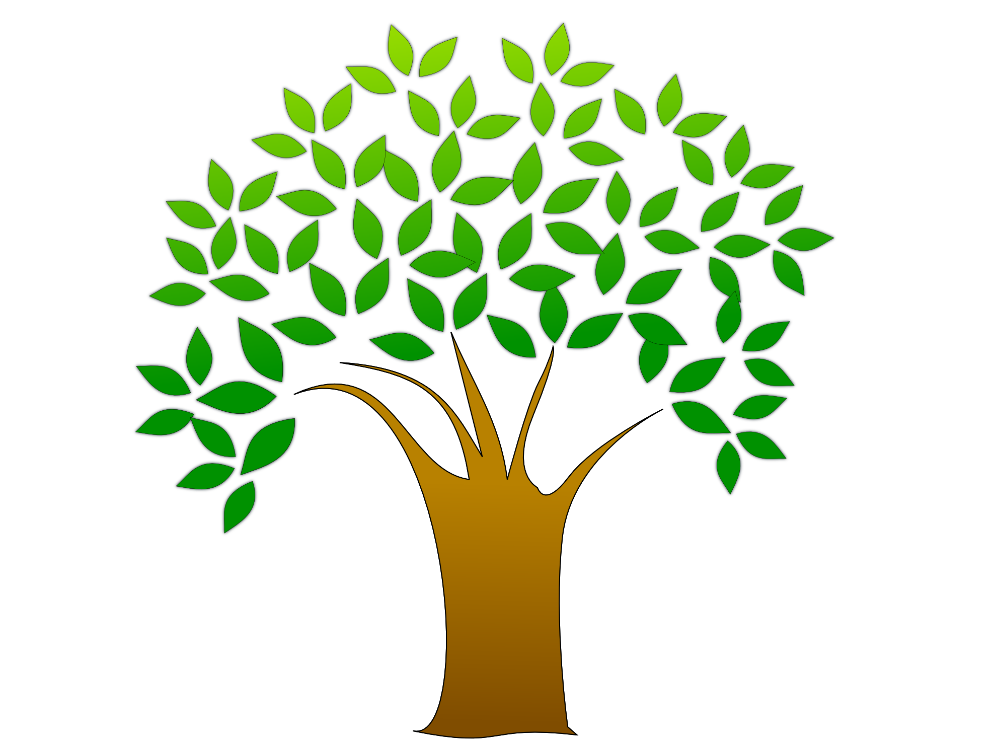 Структура семейного дерева PNG