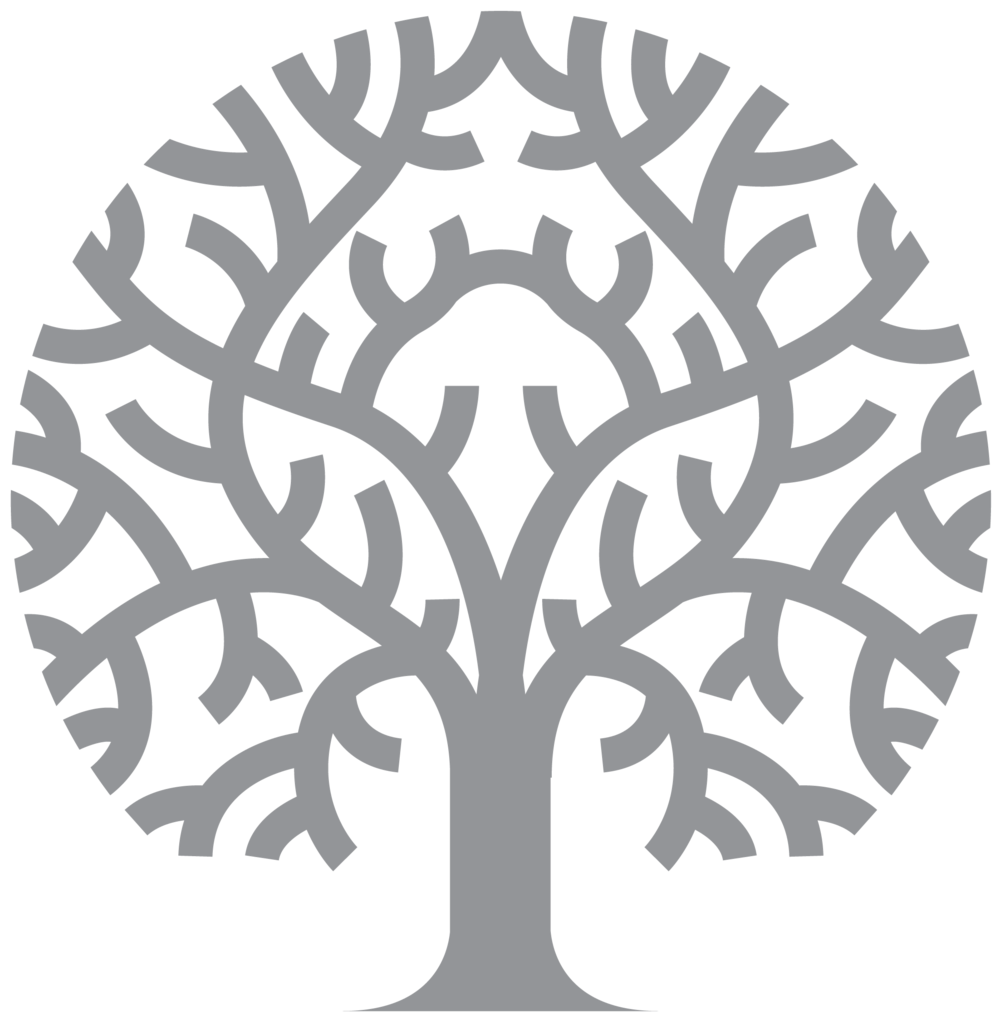 Imagem transparente da árvore genealógica PNG