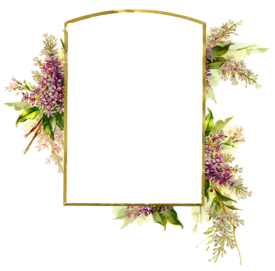 Floral Frame Free PNG-Afbeelding