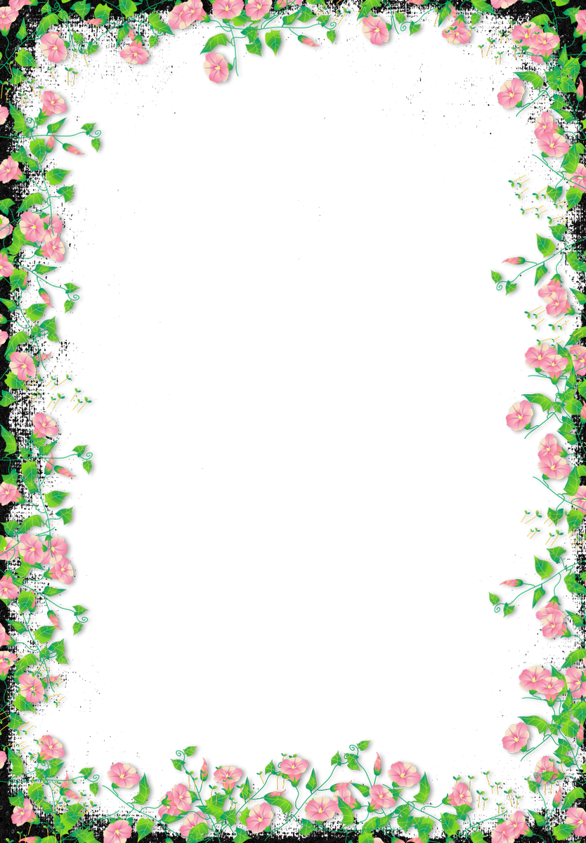 Quadro floral PNG Pic