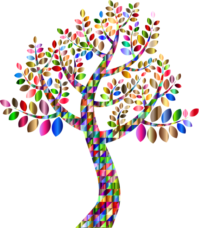 Генеалогия семейное дерево ветвь красочный PNG