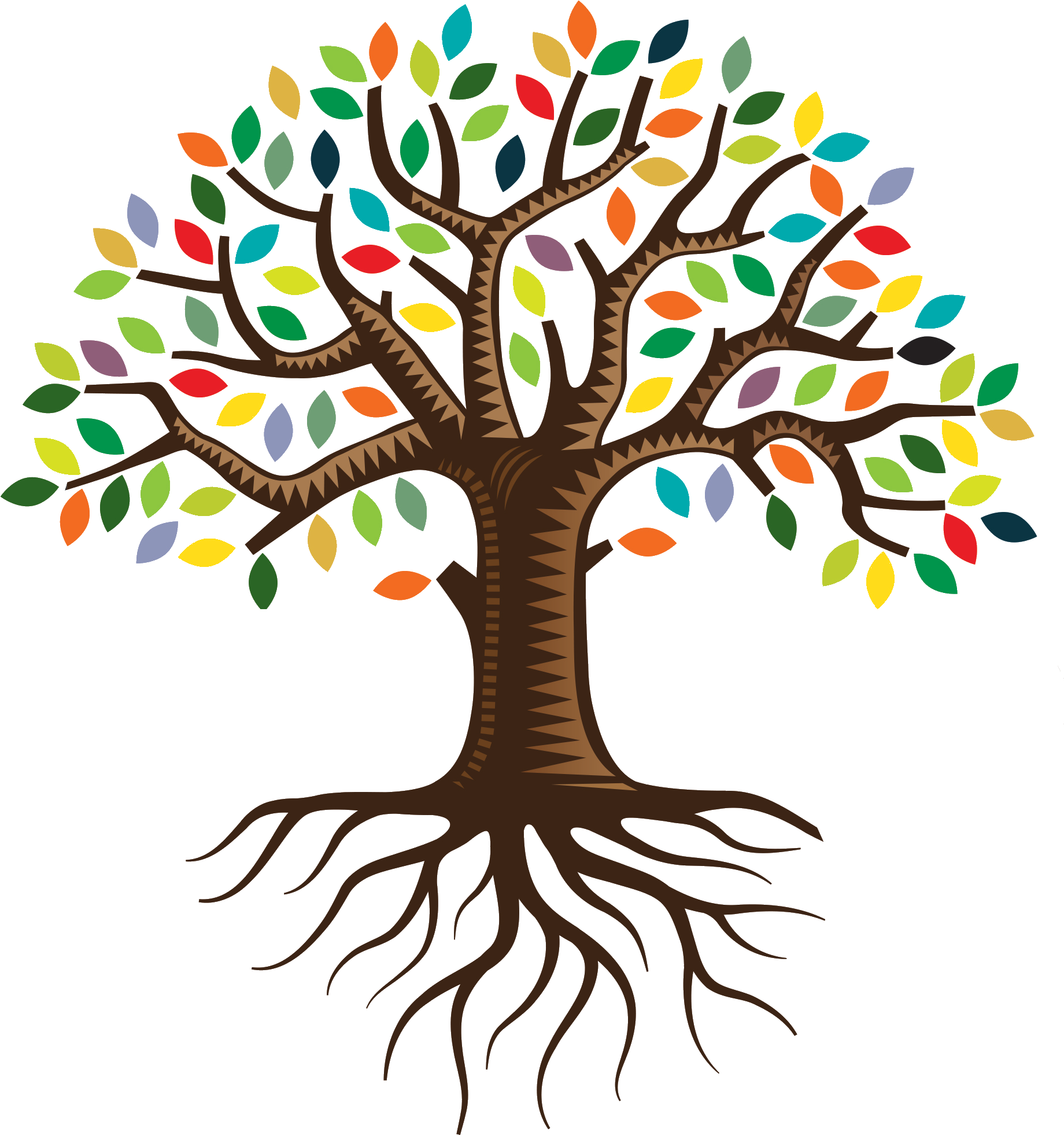Root qc семейное дерево логотип клип арт прозрачный PNG