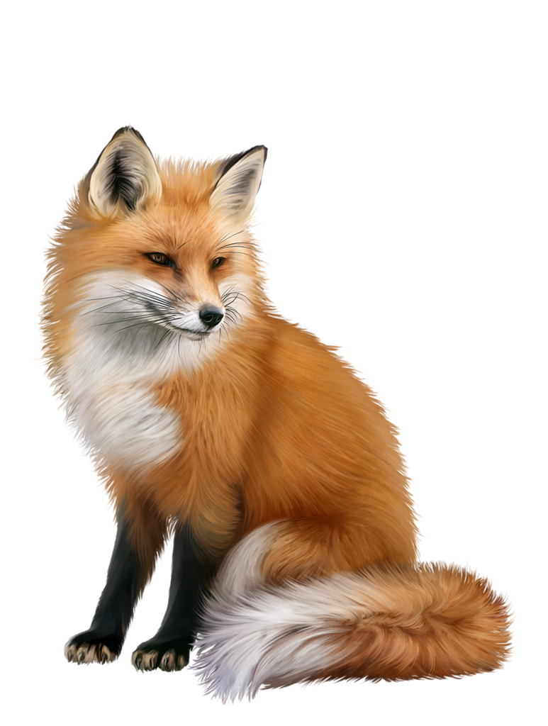 Симпатичные Fennec Fox бесплатно PNG Image
