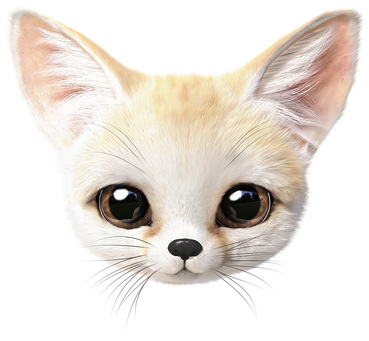Cute Fennec Fox PNG Image