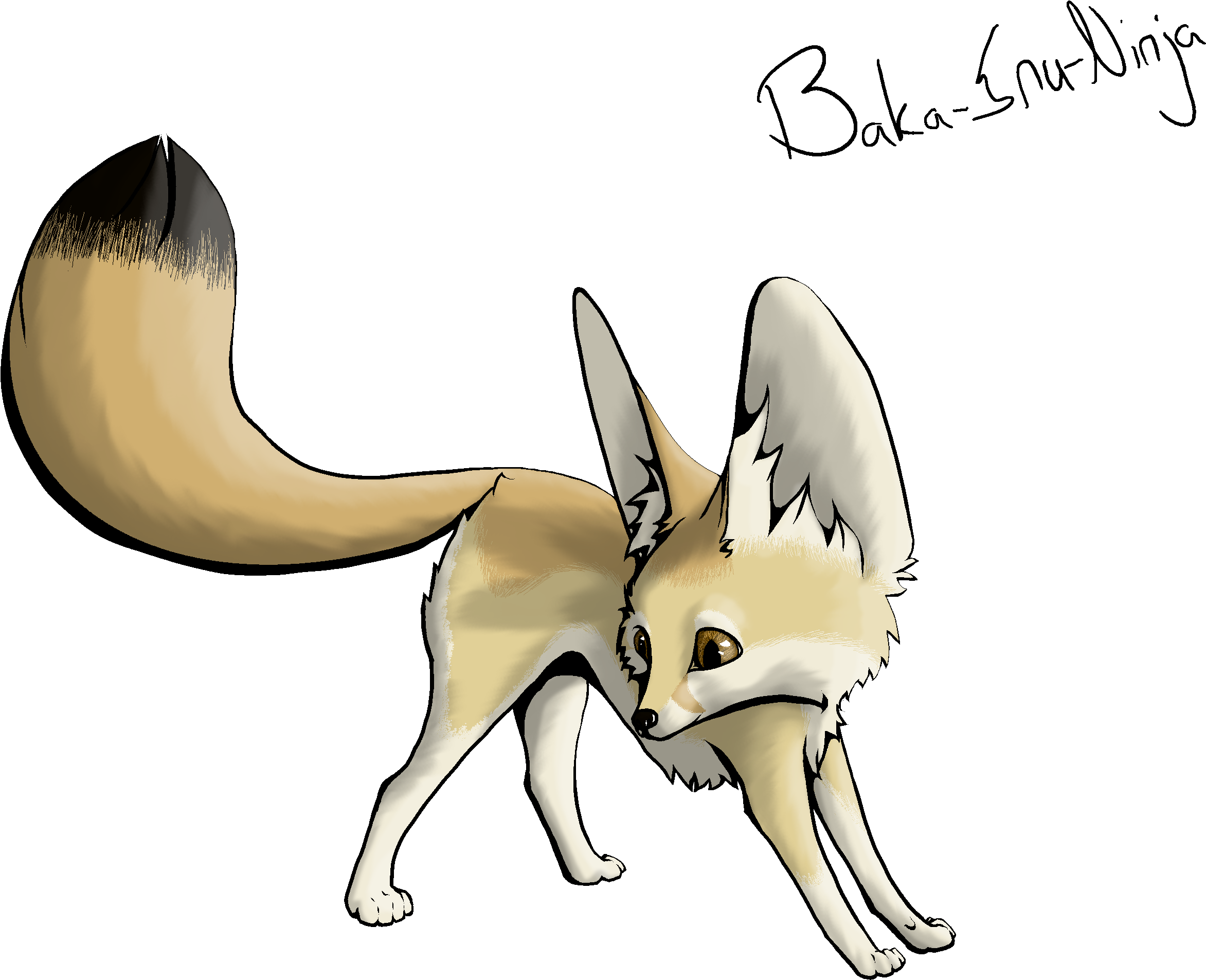 Cute Fennec Fox Transparent Image