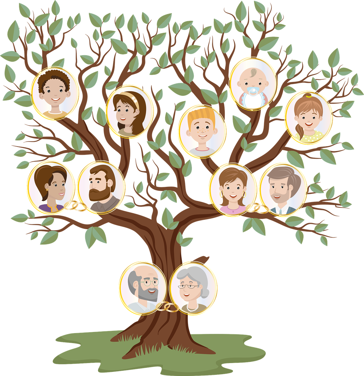 Семейное дерево PNG картина