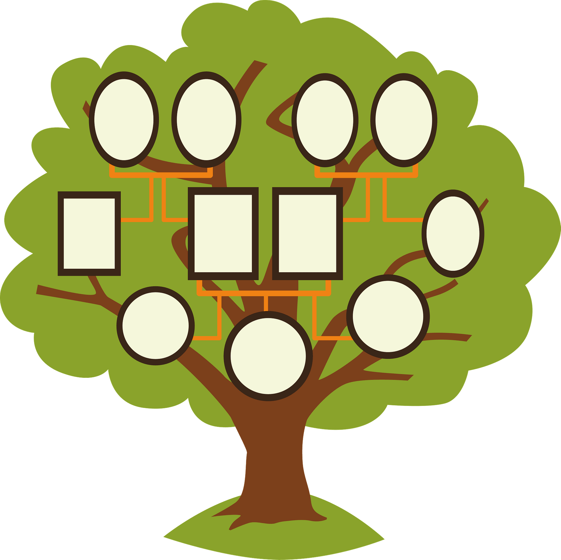 عائلة شجرة ناقلات PNG مقر