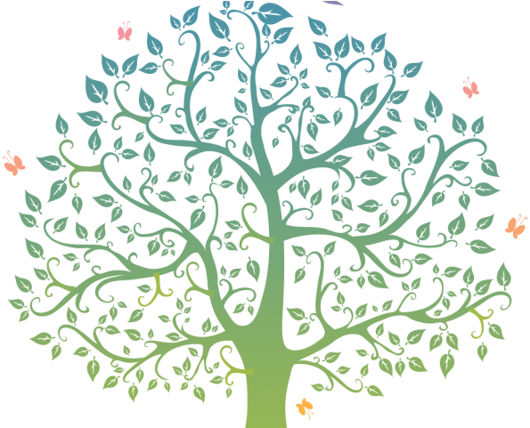 Family Tree Vector PNG HQ Pic