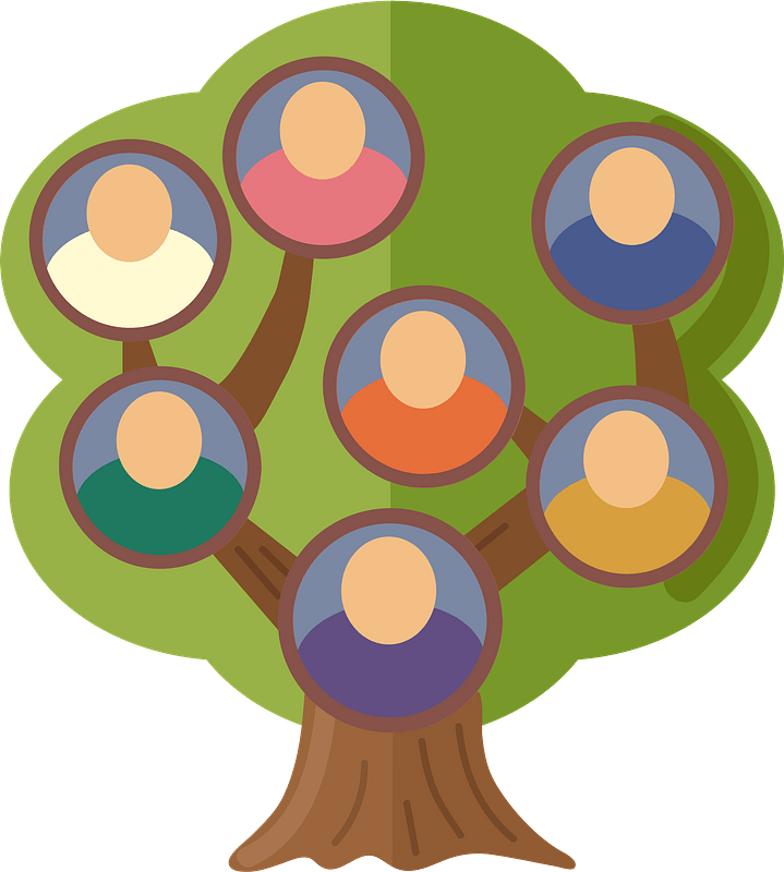 Семейное дерево вектор PNG Image HQ
