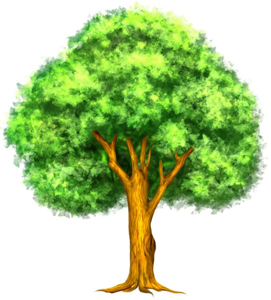Family Tree Vector PNG Image
