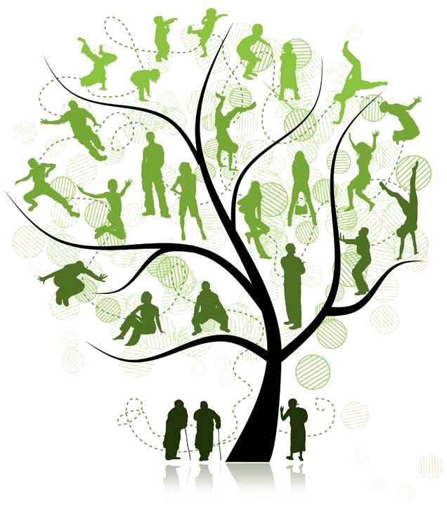 Árbol de familia vector PNG photo