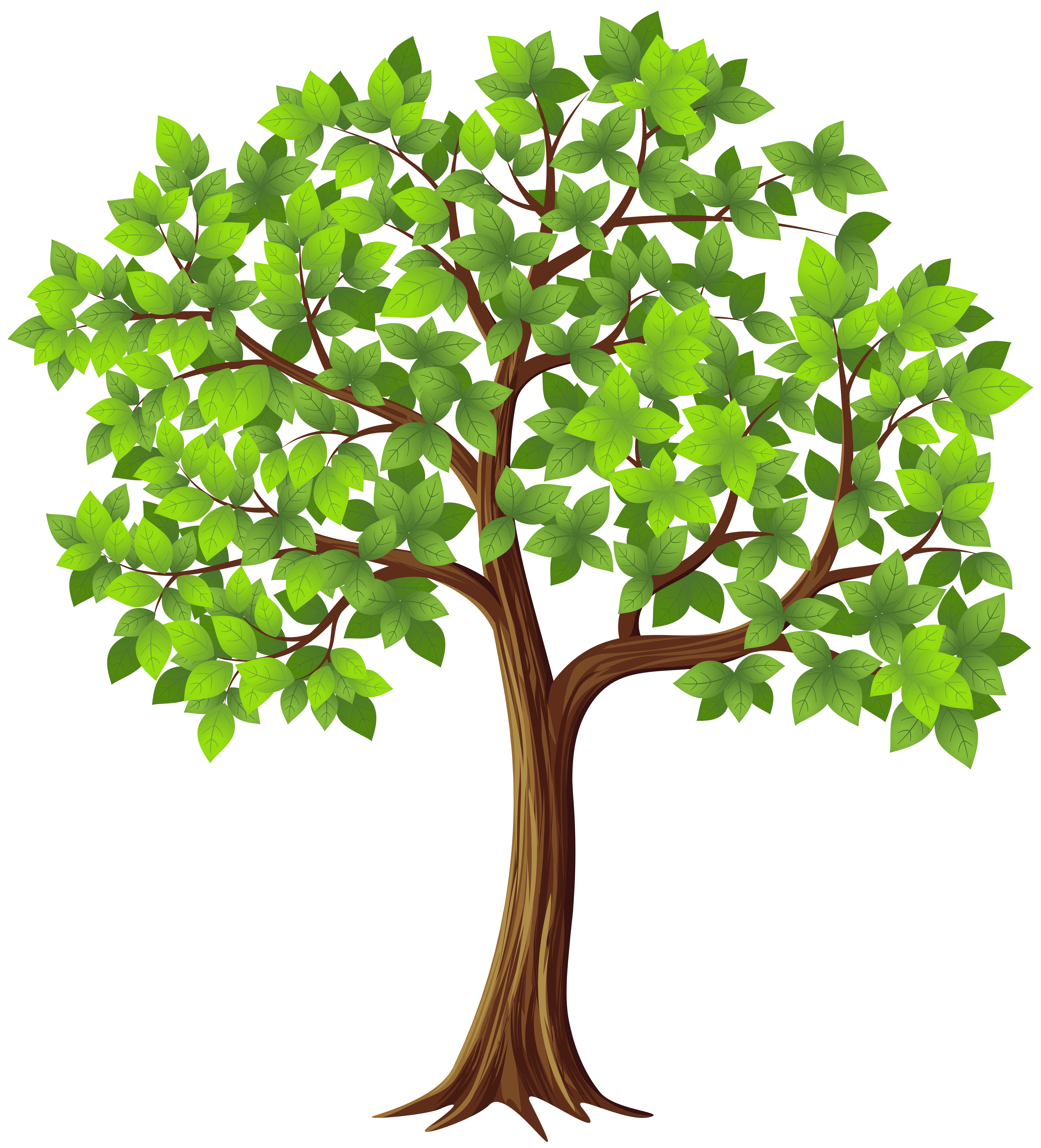 Vector da árvore genealógica transparente