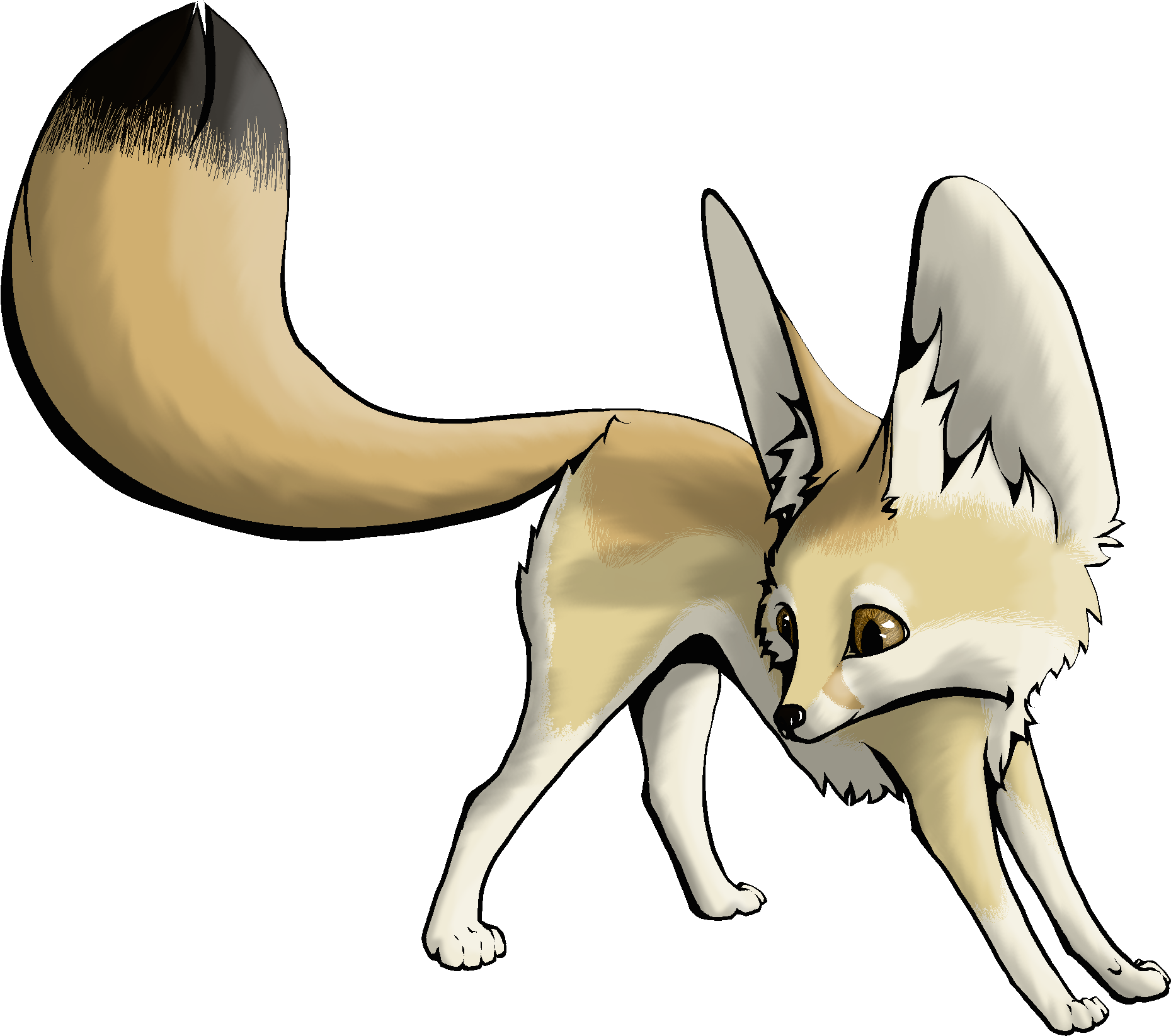 Fennec Fox PNG HQ Picture