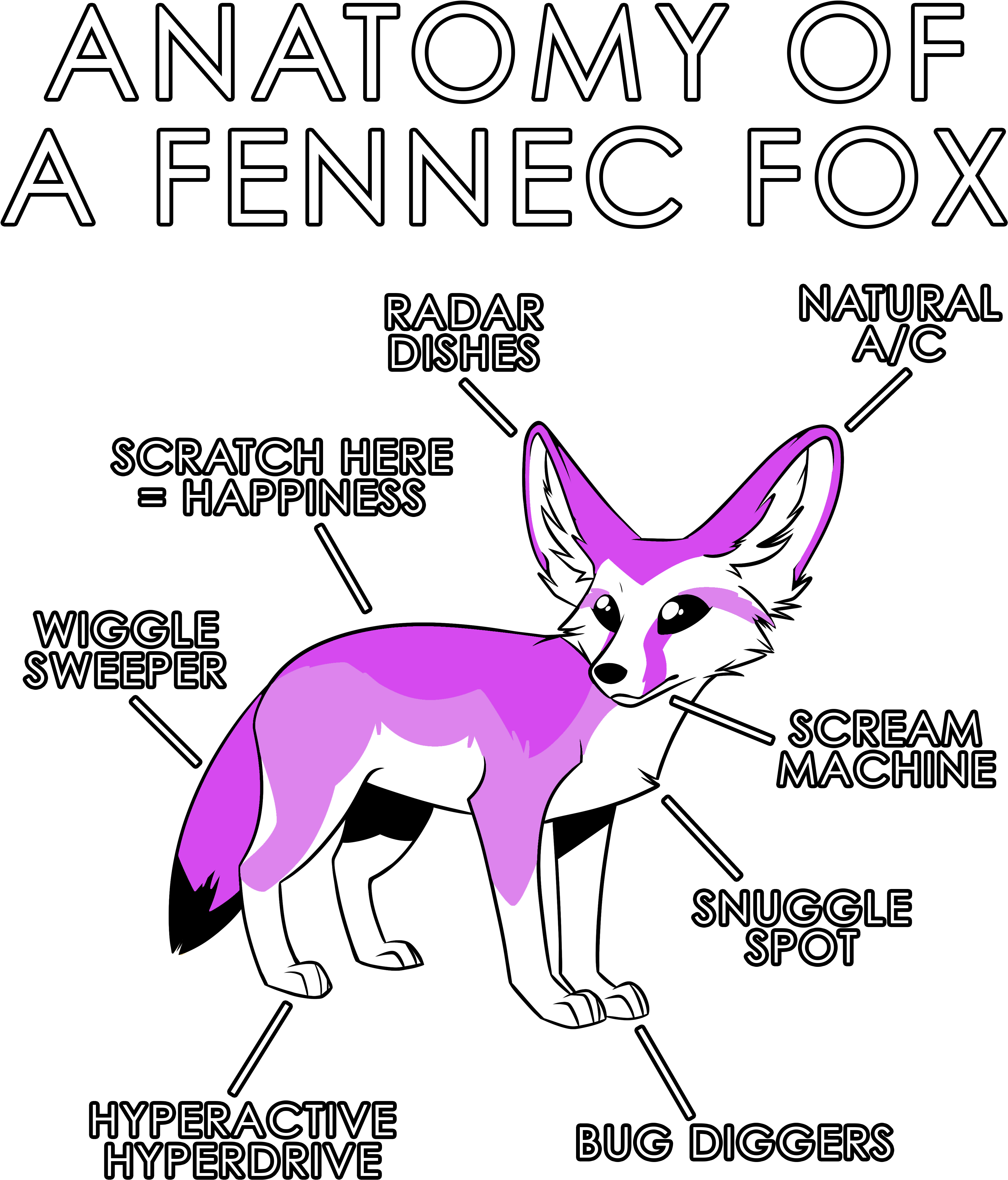 Fennec Fox PNG Image