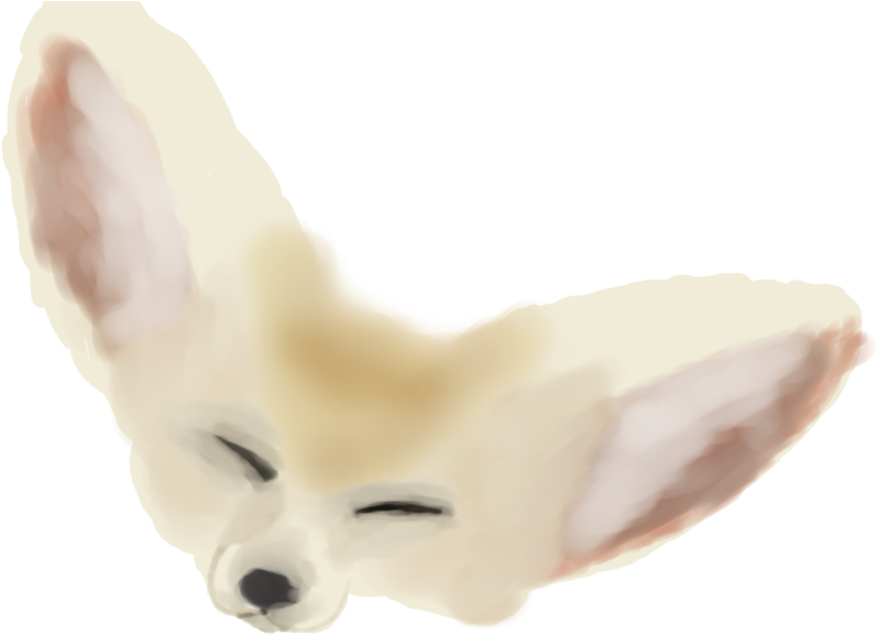 Fennec Fox PNG Picture
