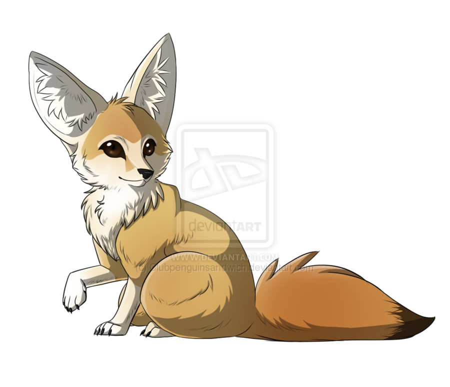 Fennec Fox Vector Free PNG HQ Image
