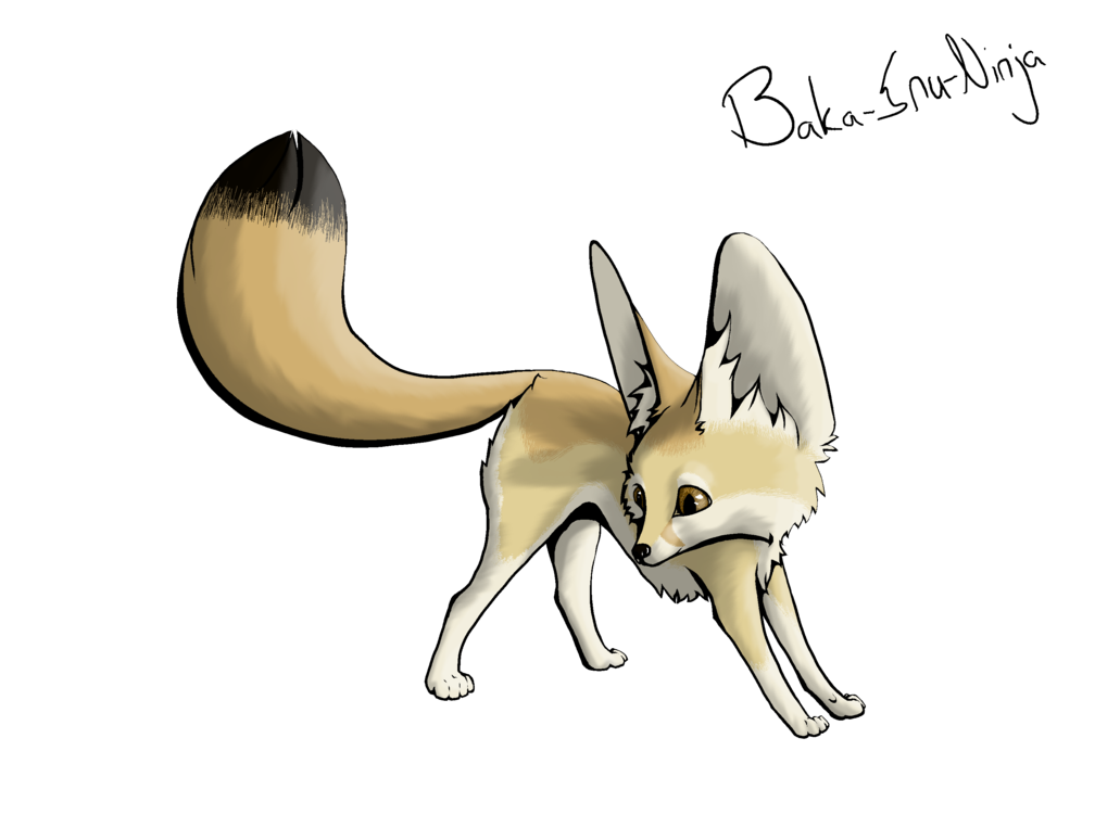 Fennec fox vector PNG imagem hq
