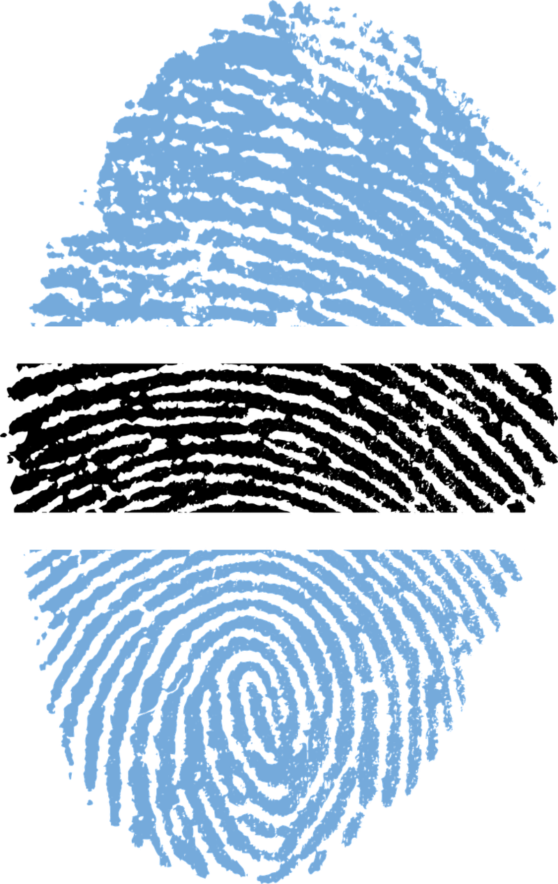 Fingerprint Transparent Image