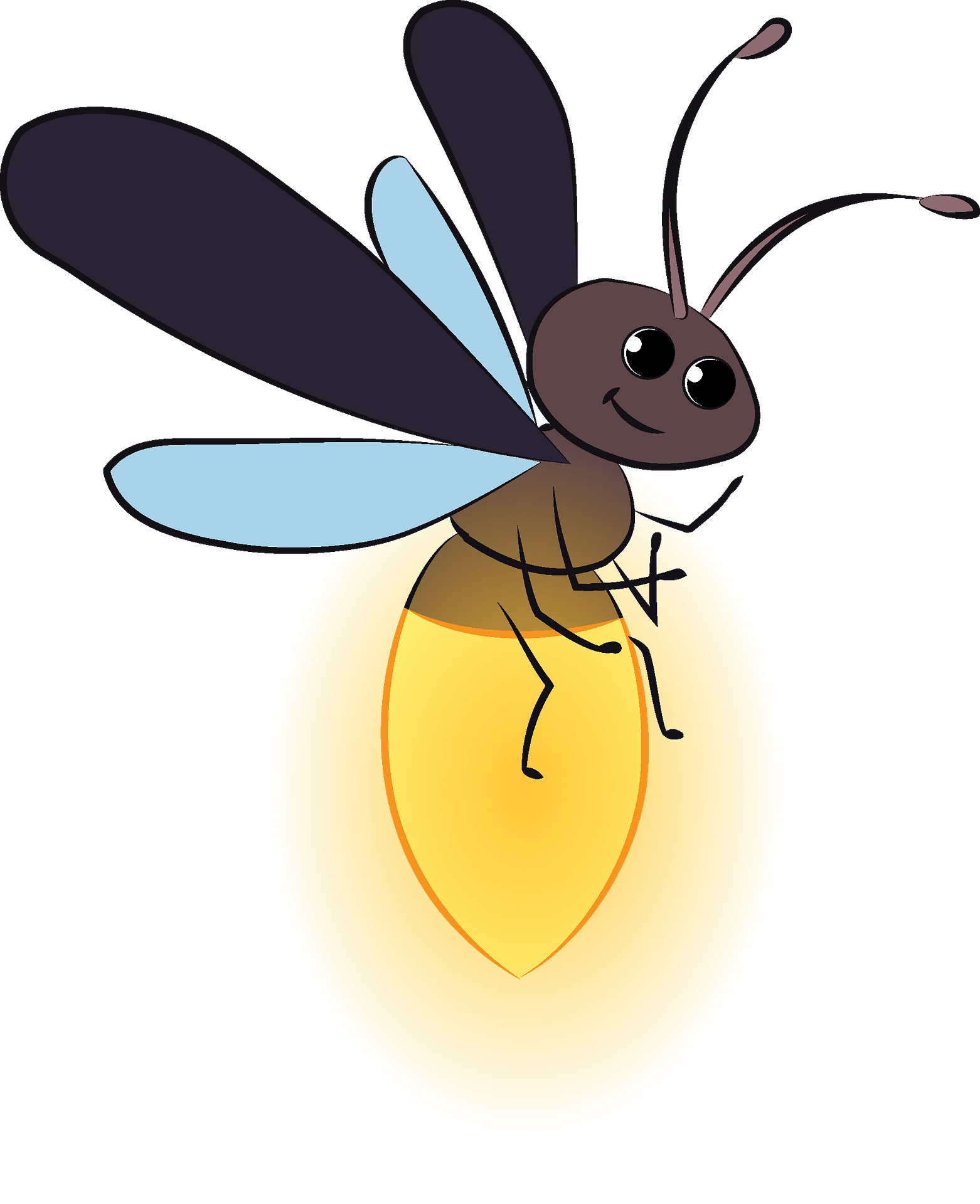 Firefly Download PNG-Afbeelding