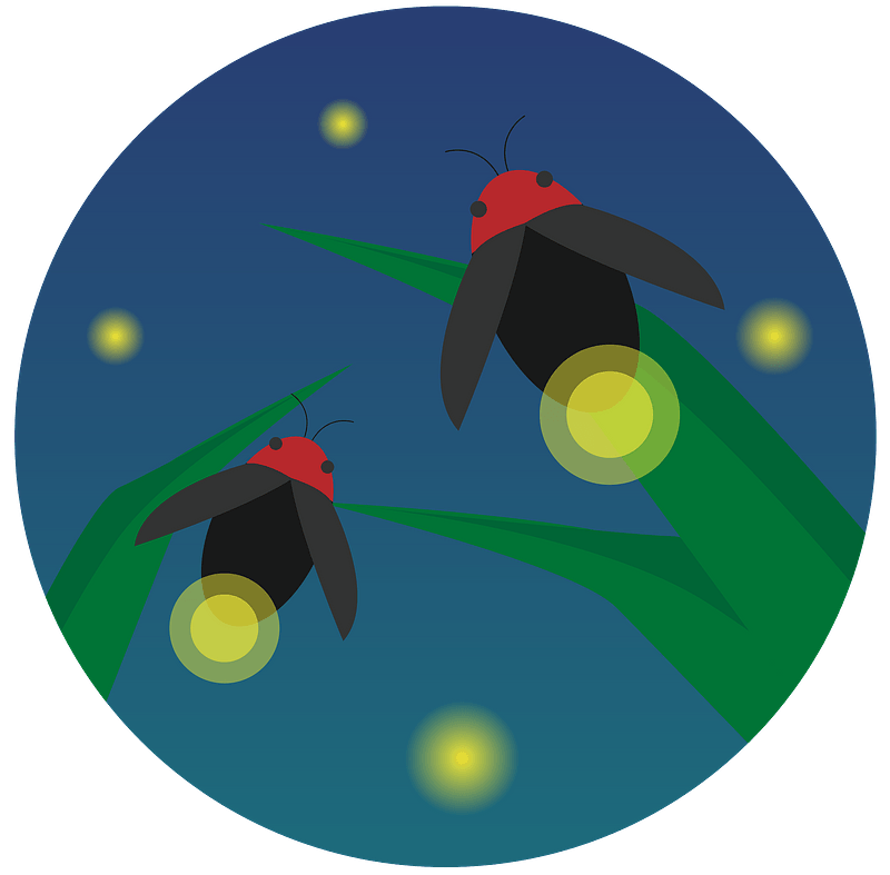Firefly PNG unduh Gratis