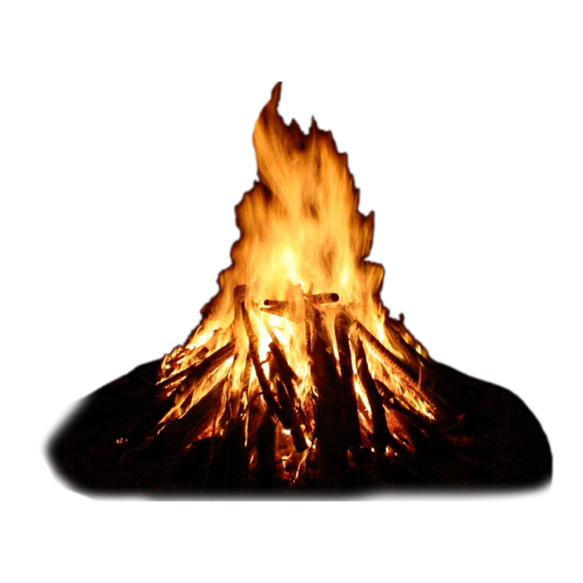 Firewood PNG Photo