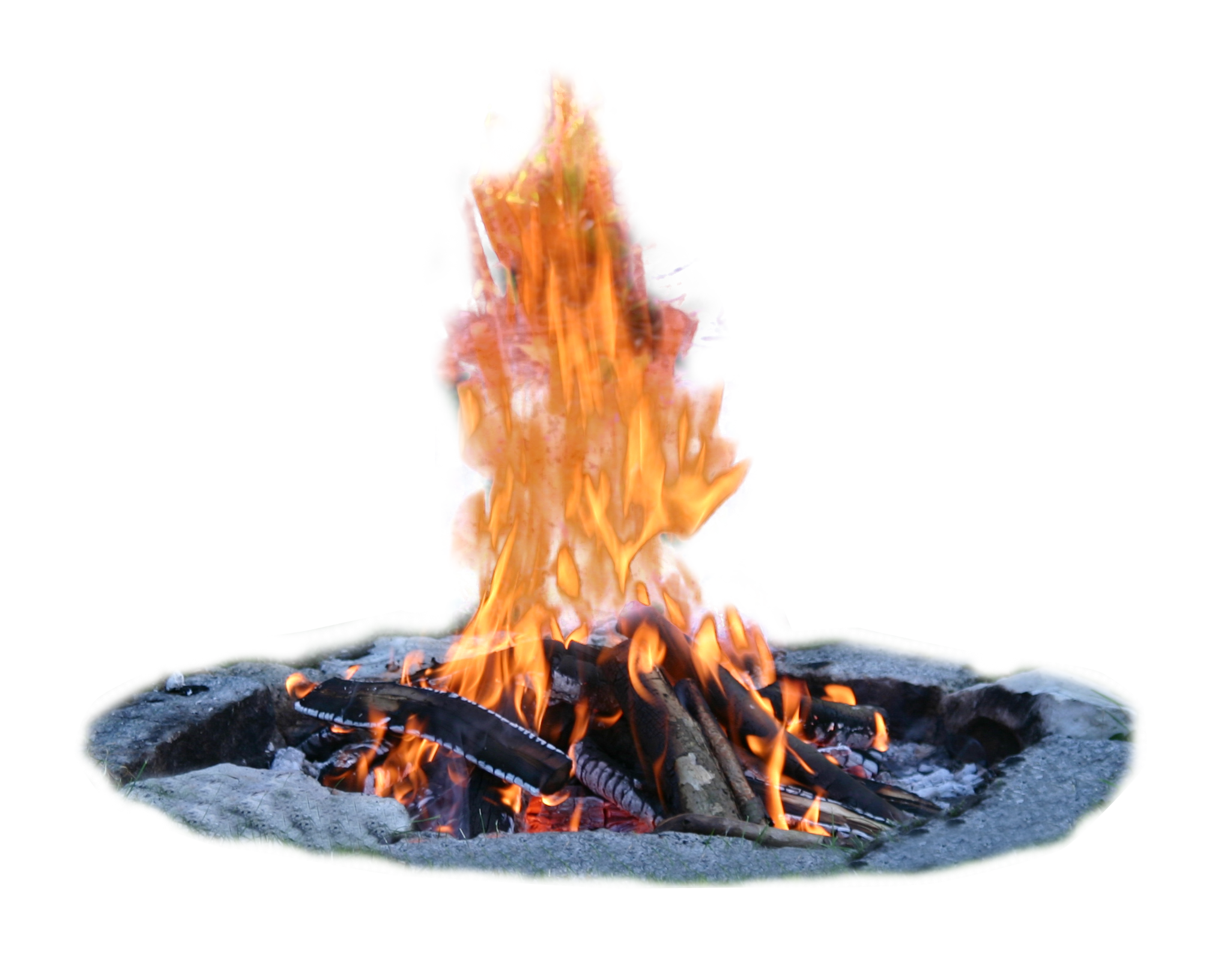 Kayu bakar PNG Pic