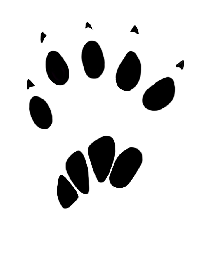 Footprints Silhouette PNG Pic HQ