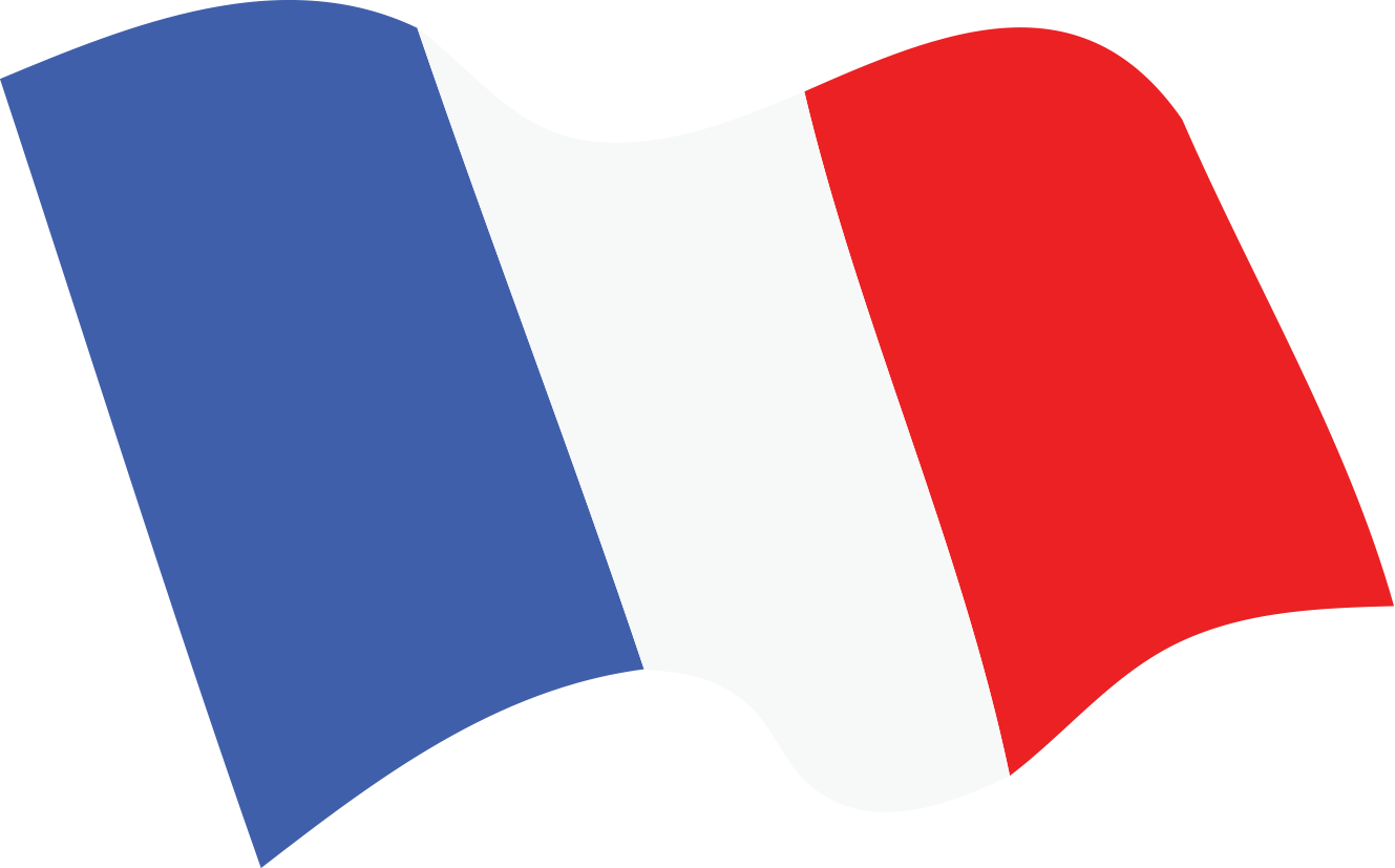 France Flag PNG صورة