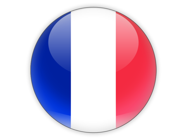 Foto della bandiera della Francia PNG
