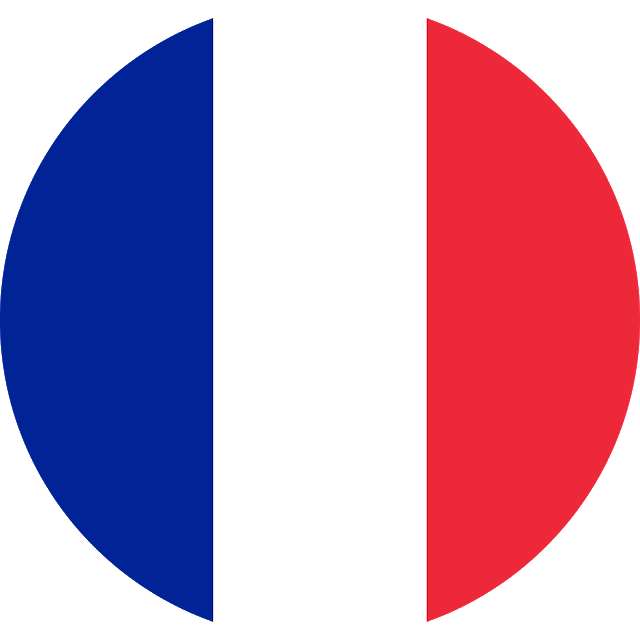 프랑스 국기 투명 한 본체