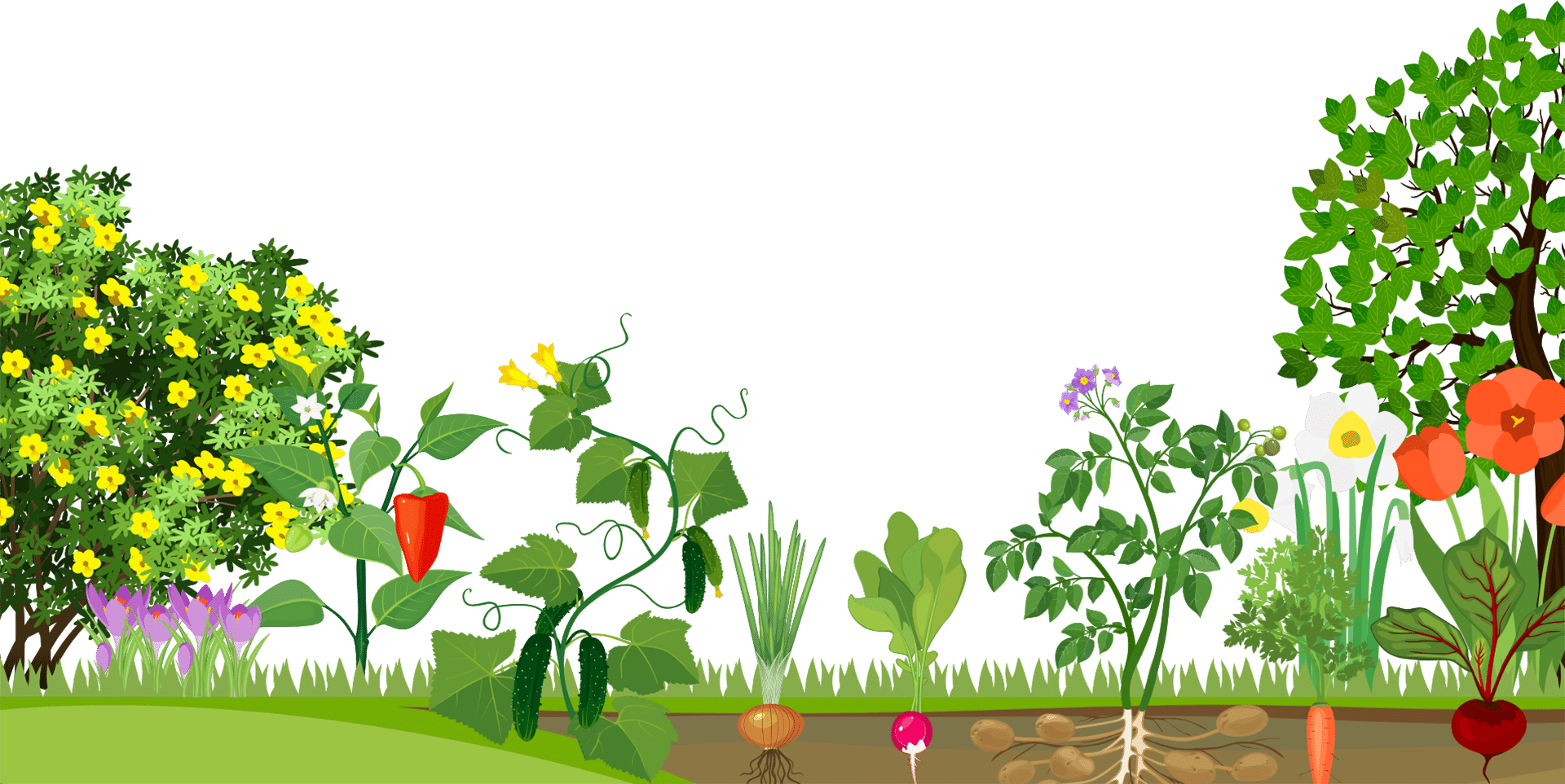 Gardening PNG Picture