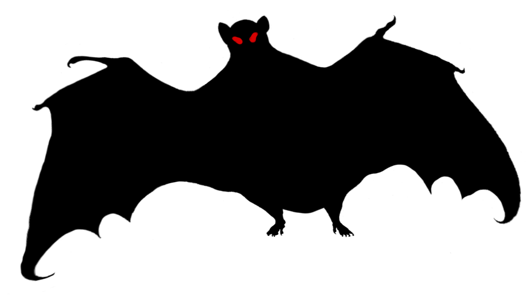 Foto di PNG nera del pipistrello di Halloween