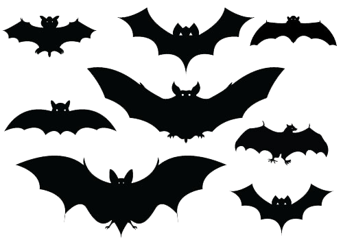 هالوين الخفافيش الأسود PNG الموافقة المسبقة عن علم