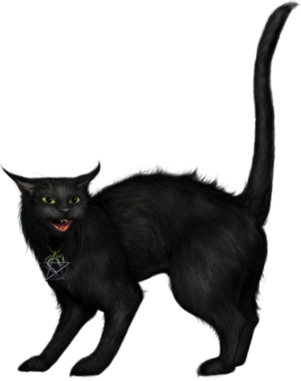 Хэллоуин кошка мультфильм PNG фото