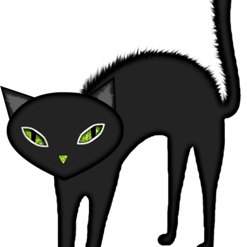 Halloween Cat Free PNG HQ Image