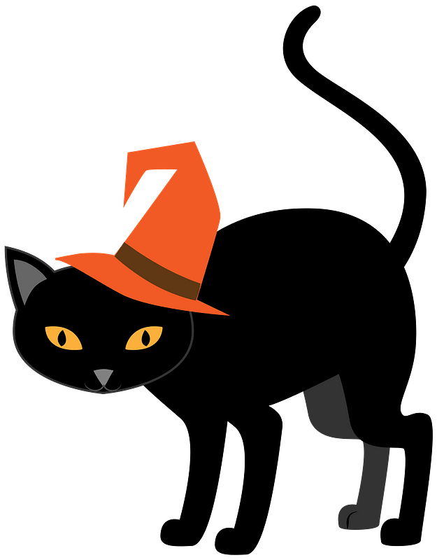 Halloween 고양이 투명