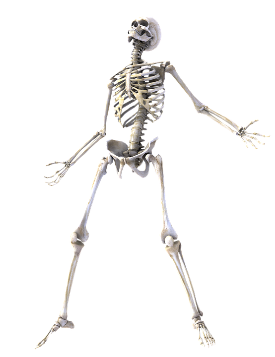 Halloween Skeleton Gratis PNG HQ-afbeelding