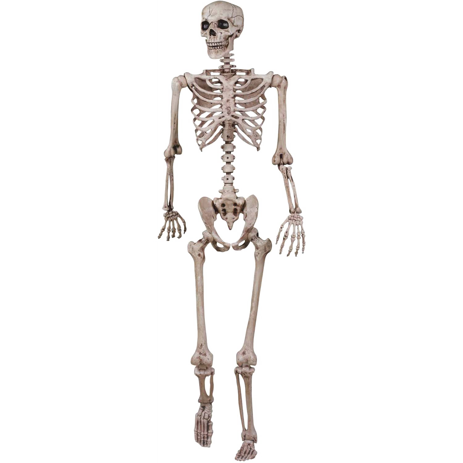 Imagem de PNG de Esqueleto de Halloween