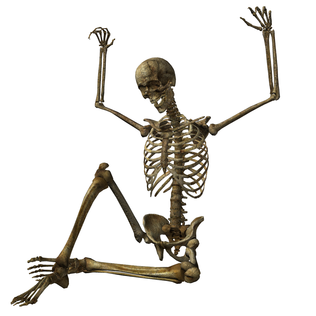 할로윈 뼈대 PNG 사진