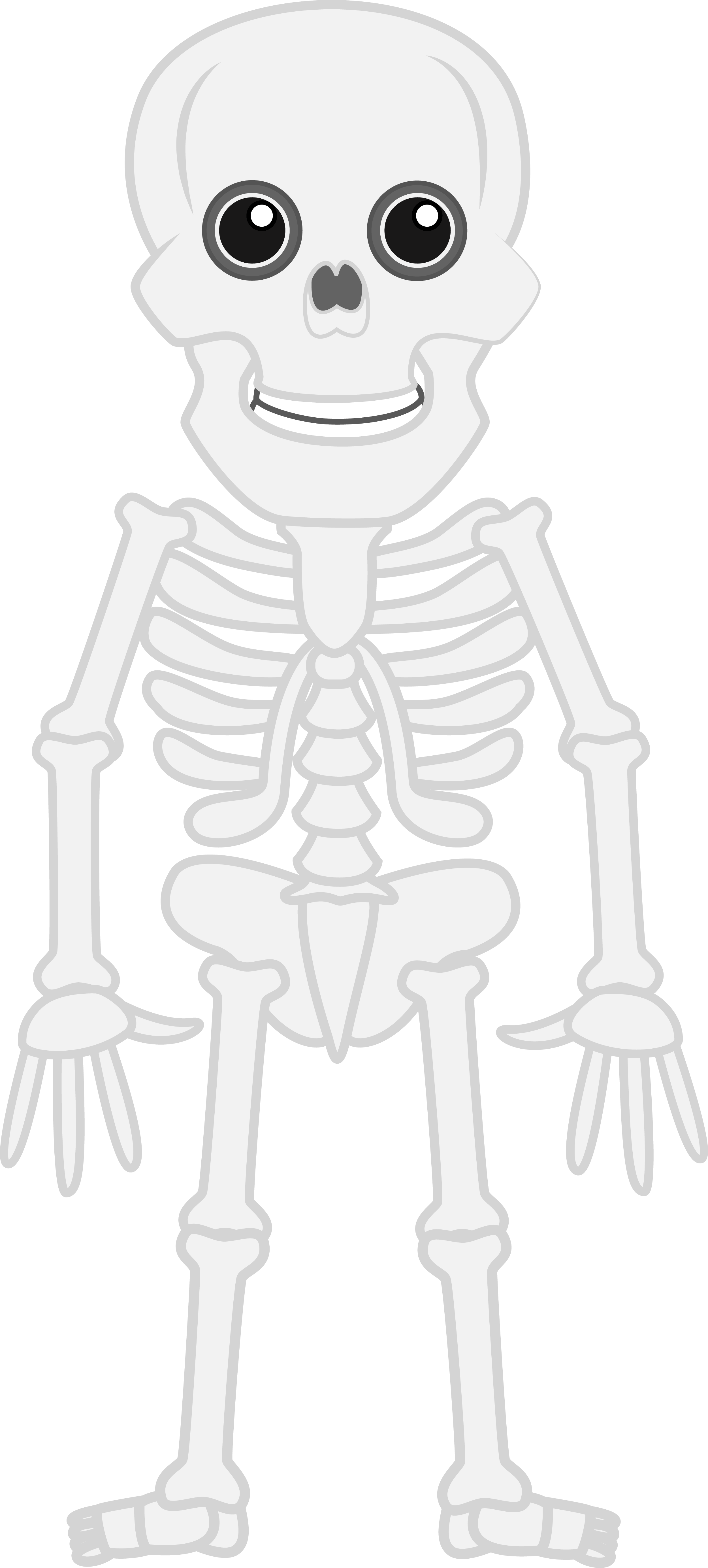 Download gratuito di Halloween Skeleton Scary PNG