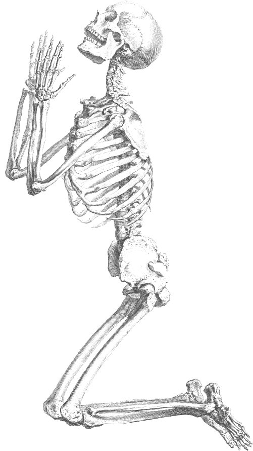 Halloween Skeleton Scary PNG Photo
