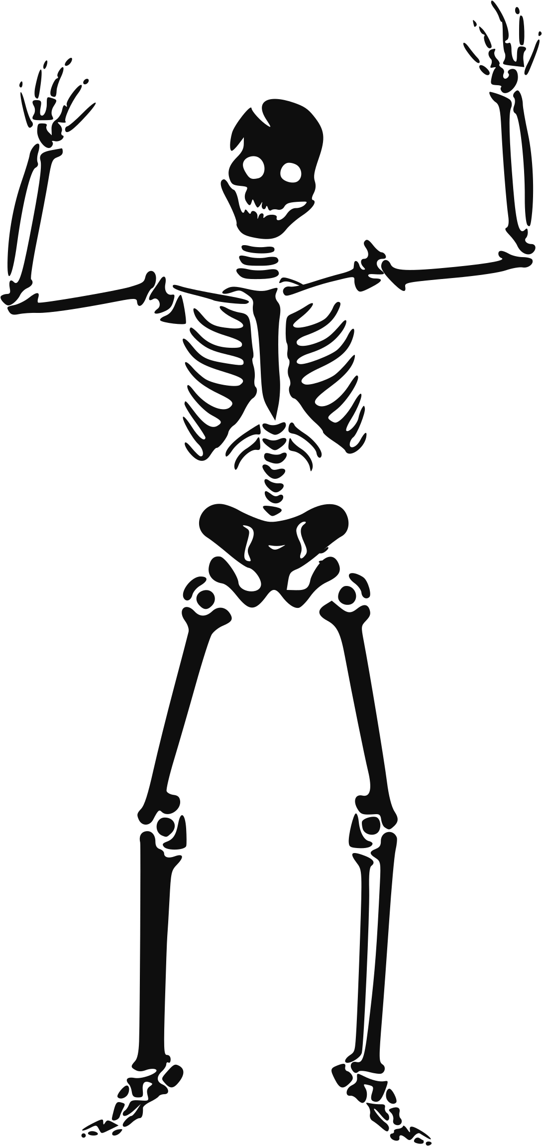 Halloween Skeleton Scary Transparent Images