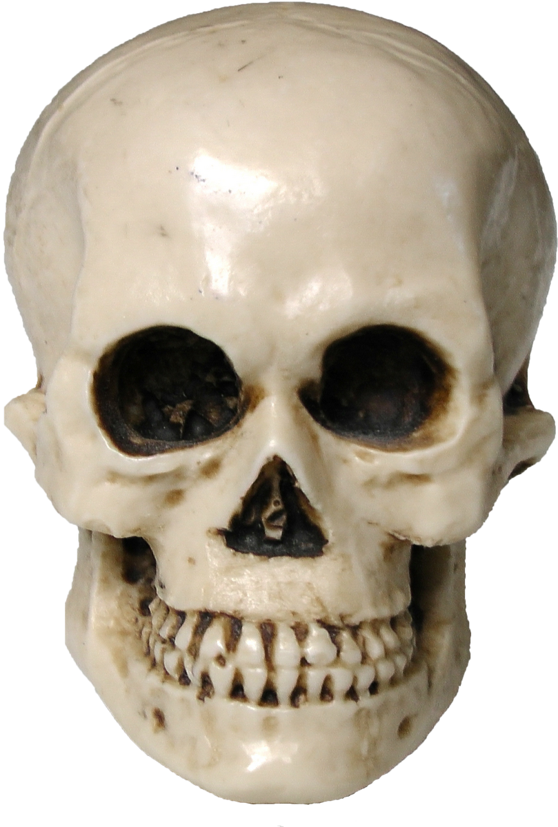 Imagem do Halloween Skull PNG HQ