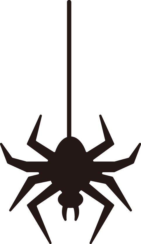 Halloween Pic PNG Spider