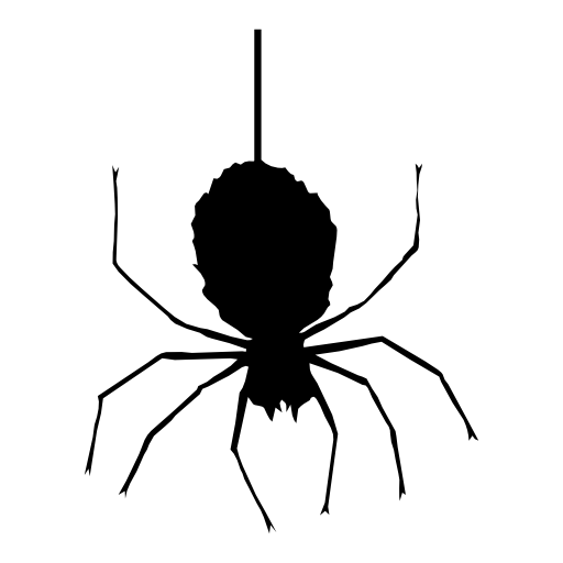 Immagini trasparenti di ragno di Halloween