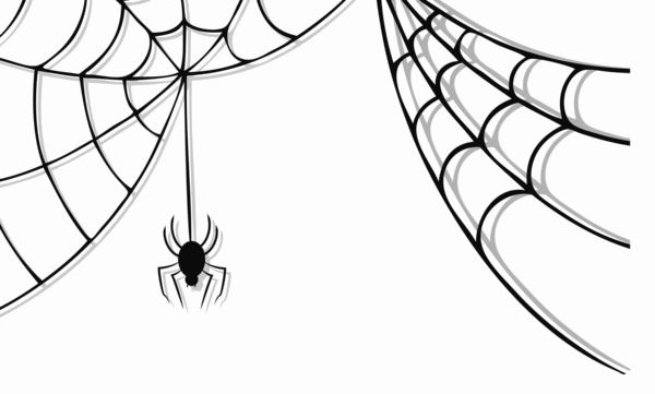 Halloween Spider Web-Download PNG-Bild
