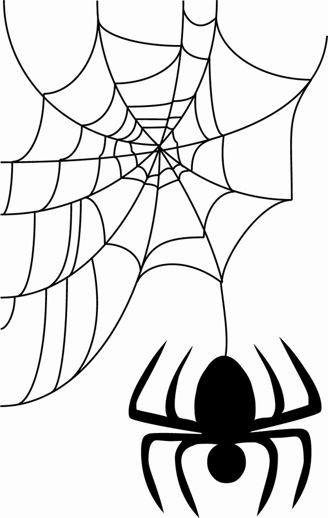 Halloween Spider Web PNG Gambar HQ