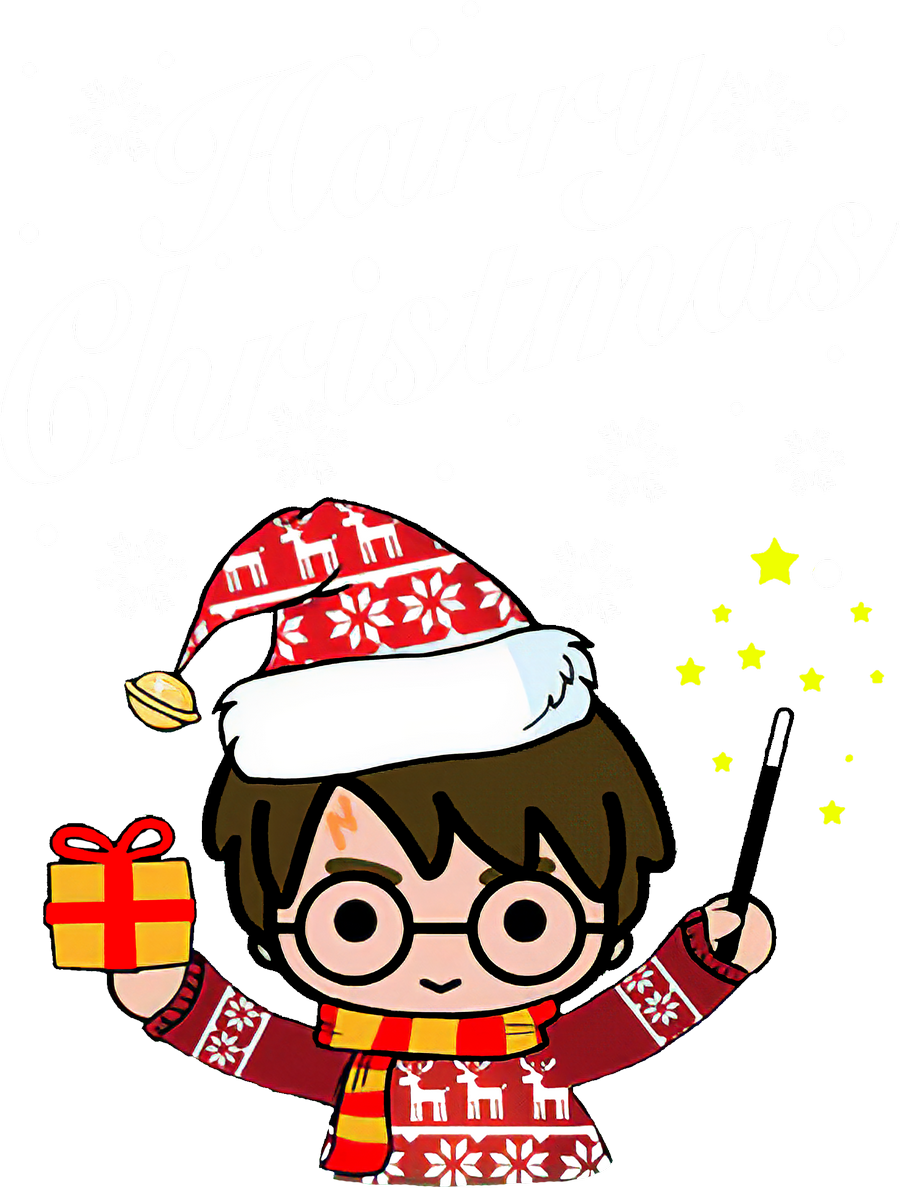 Harry Potter Christmas PNG HQ Photo