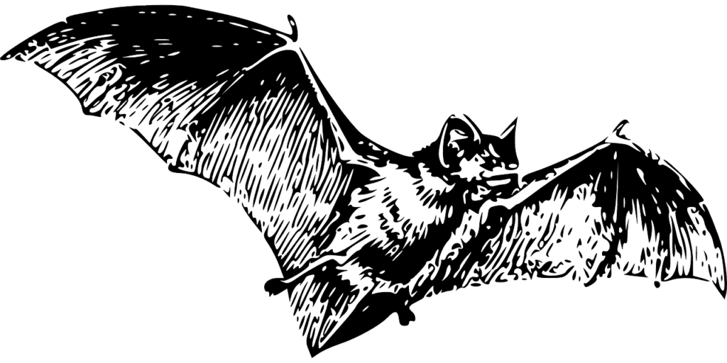 Morcego Halloween PNG HQ HQ Pic